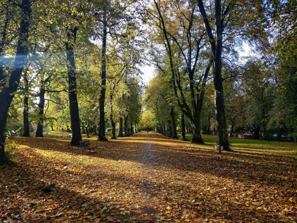 Green Spaces in Manchester City